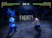 -Def-Jam-Fight-for-New-York-GameCube- (2)