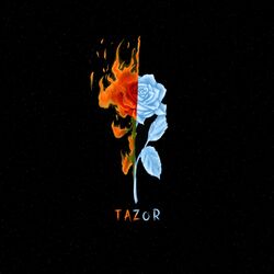 Tazor.jpg