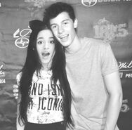 Camila-cabello-shawn-mendes