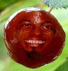 CrabAppleLilWayne