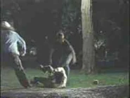 Pride2.11.jpg (3 KB)