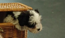 Vlcsnap-2013-07-25-16h58m12s156