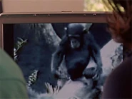 Gffgfggggggggggggsdfgsdg.jpg (11 KB)