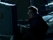 Toby at J.T