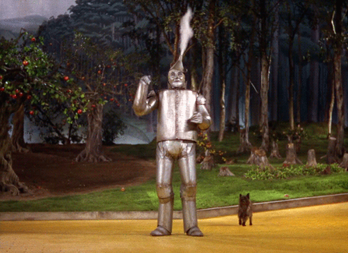 User Blog Thisoneperson Degrassi Wiki As The Wizard Of Oz Degrassi Wiki Fandom User Blog Thisoneperson Degrassi Wiki As The Wizard Of Oz Degrassi Wiki Fandom