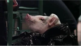 Tumblr l6lx6abB661qc8lhko1 500