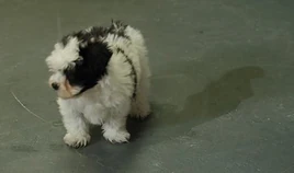 Vlcsnap-2013-07-25-16h58m28s63