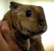 040410hiphop.jpg (30 KB)