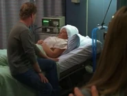 Toddterri.png (249 KB)