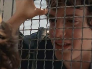 61-brucas59 (1).jpg (16 KB)