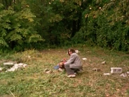 Tumblr lf4nh7DyCn1qc1tpr.jpg (216 KB)