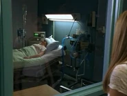 S degrassi3170217.jpg (19 KB)