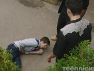 1330-08-pok.jpg (38 KB)