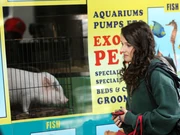 Aaaaaaaaaaaaaaaaaaaaaaaaaaaaaaaa