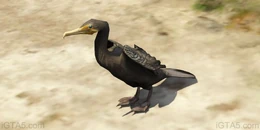 Ein Kormoran