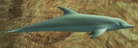 Ein Delfin in San Andreas