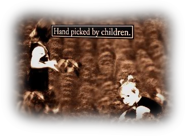 Handverlesen von Kindern.