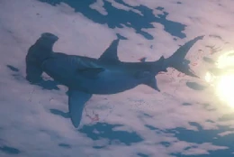 Einer der Hammerhaie im Trailer