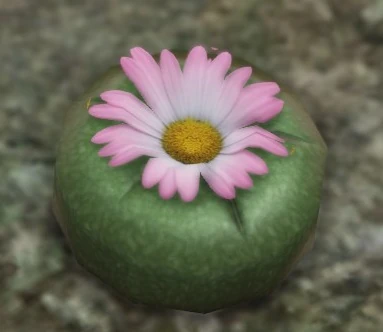 Peyote (Droge) | GTA Wiki | Fandom