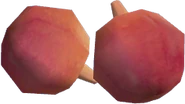 Zwiebeln