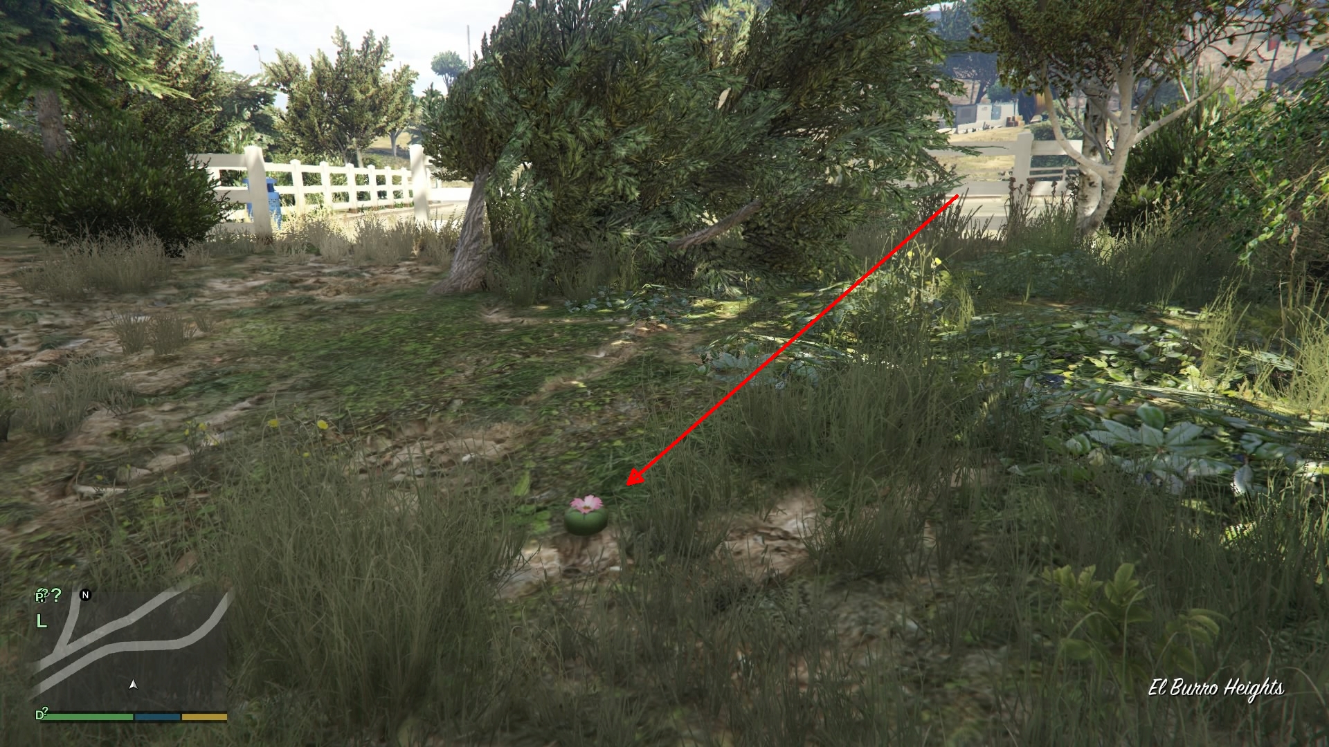 gta 5 22 plant