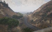 GTA5 Catfish View O