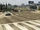 Davis Avenue