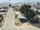 Armadillo Avenue