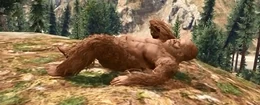Ein Bigfoot in Blaine County