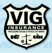 VIG-Insurance-Logo