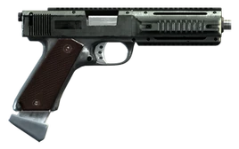 AP-Pistole GTAV