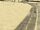 Vespucci Cycle Path