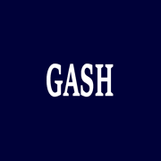 Gash-Logo