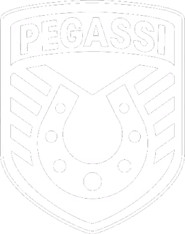 Pegassi-Logo, IV