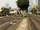 Palomino Avenue