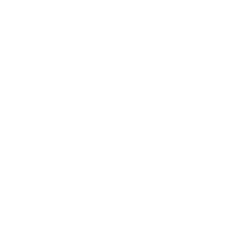 Declasse Logo, Grand Theft Auto