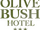 The Olive Bush Hotel