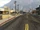 Cascabel Avenue