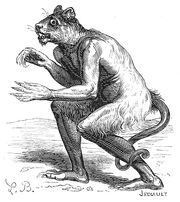 Flauros.jpg
