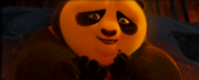 Po's Mutter.png