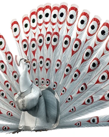 Shen Kung Fu Panda Wiki Fandom Overlapping with evil has a bad sense of humor, shen is very confident in the strength of his new weapons, and as the kung fu masters of gongmen.