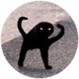E22de3153a70169cb8c078ad591a6bd5.png