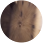 Hogwarts.png