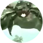 D8e04685da07d72faa18ba2e93f0e584.png