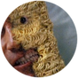 7c8846ced7747495329817a545013c95.png