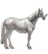 Unicorn