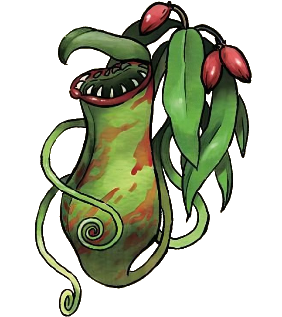 pitcher plant cartoon