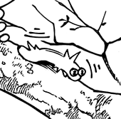 Demon Worm.png (15 KB) Worm form.