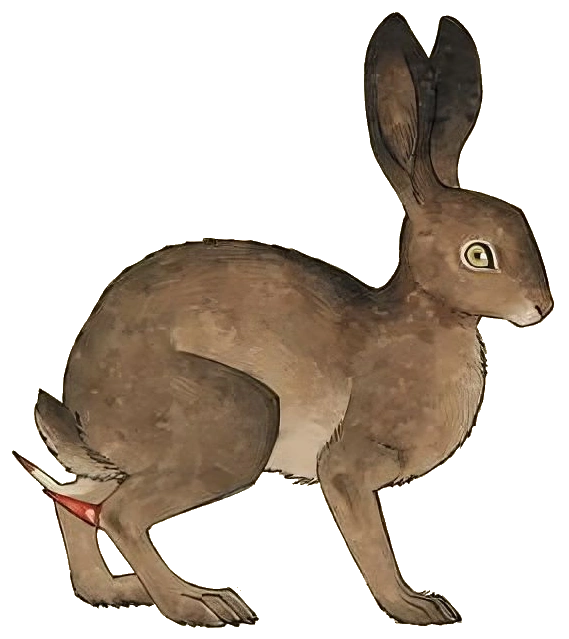 Dungeon Rabbit | Delicious in Dungeon Wiki | Fandom