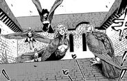 A flock of Harpies.